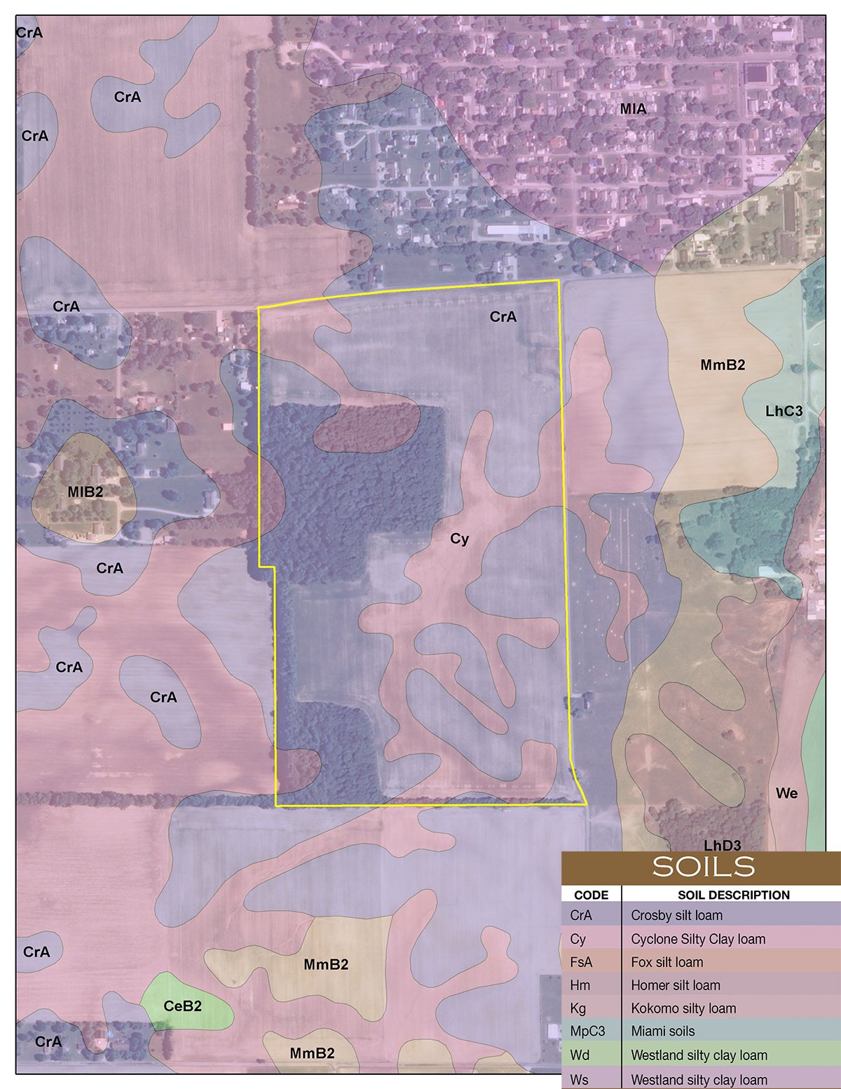 Henry County - LAND AUCTION, 118.508+/- Acres offered in 2 Tracts